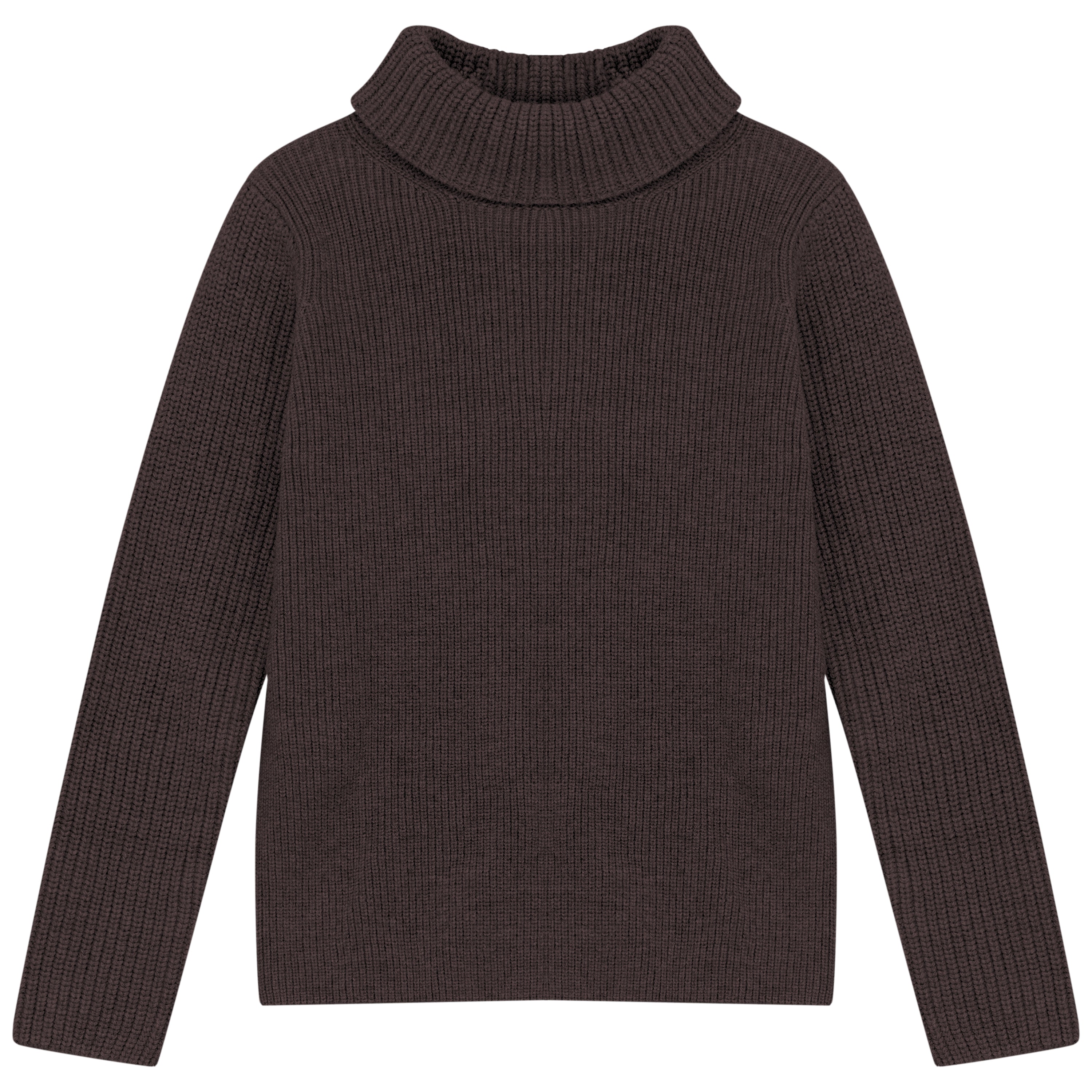 RIBBED TURTLENECK